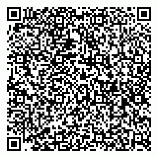 vCard 79526078030