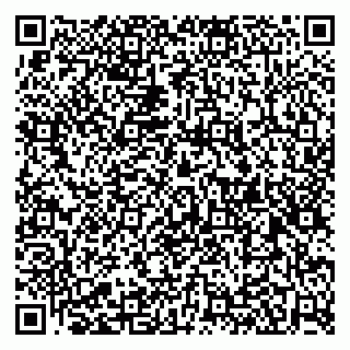 vCard 79526078032