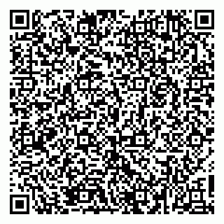 vCard 79526078131