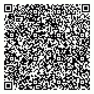 vCard 79526078171