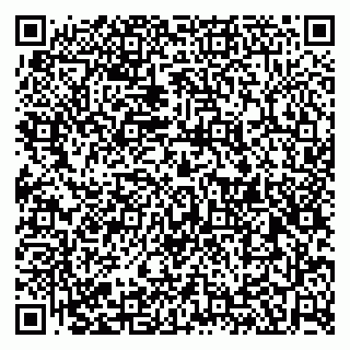 vCard 79526078317