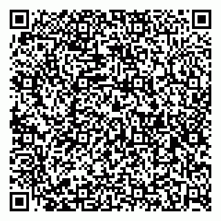 vCard 79526078381