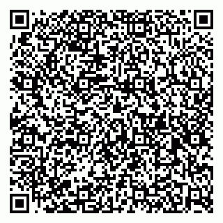 vCard 79526078730