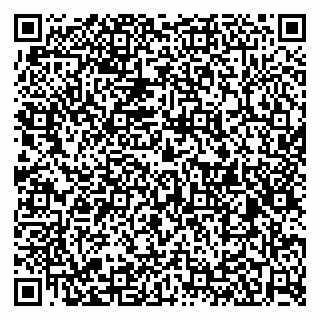 vCard 79526079033
