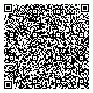 vCard 79526079041