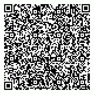 vCard 79526079313