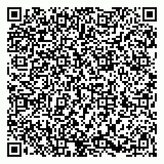 vCard 79526079376