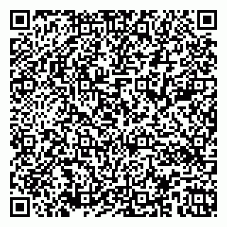 vCard 79526080171