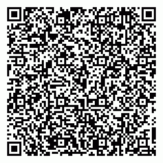 vCard 79526080379