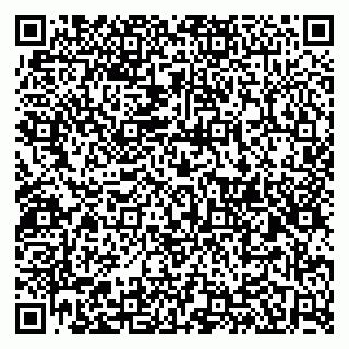 vCard 79526080411