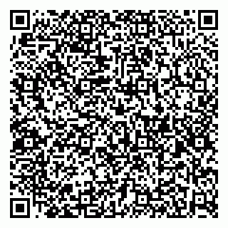 vCard 79526080729