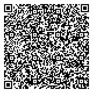 vCard 79526083931