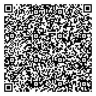 vCard 79526085295