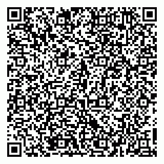 vCard 79526085300