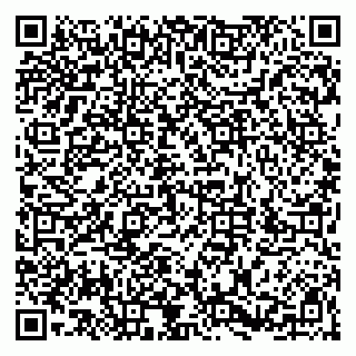 vCard 79526085314