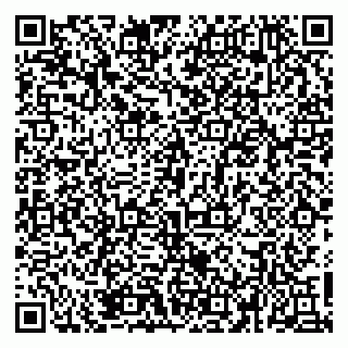 vCard 79526085374