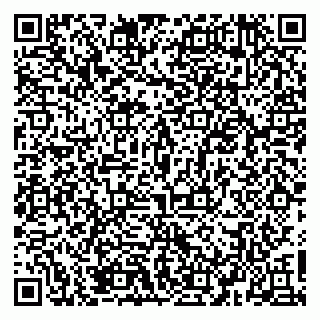 vCard 79526085381