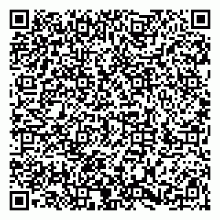 vCard 79526085393
