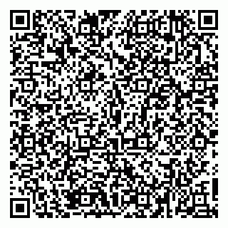 vCard 79526089331