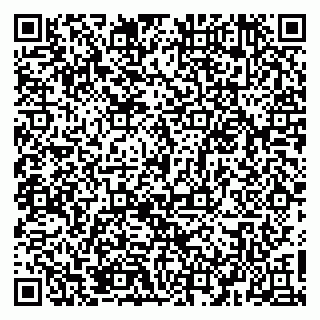 vCard 79526090381