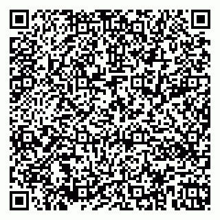 vCard 79526090399