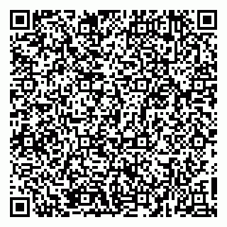 vCard 79526099311