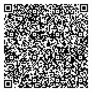 vCard 79526099337