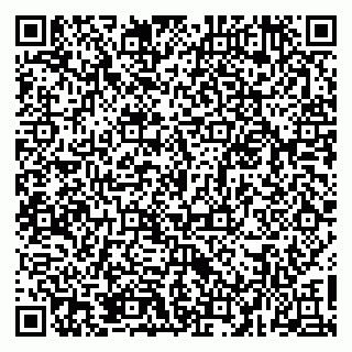 vCard 79526099411