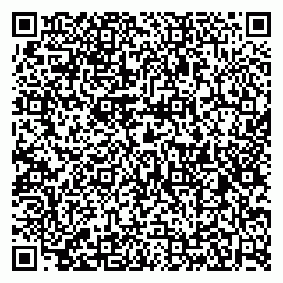 vCard 79526099733