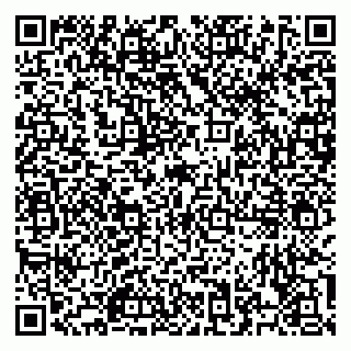 vCard 79526700119