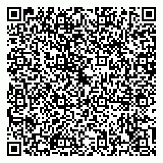 vCard 79526700213