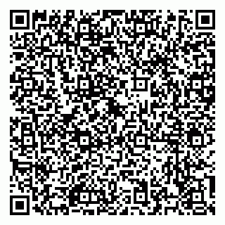 vCard 79526700221