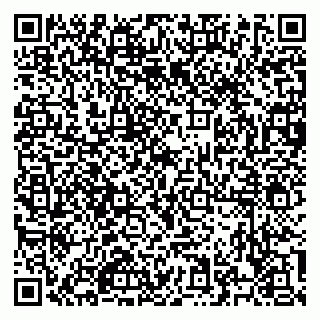 vCard 79526700335
