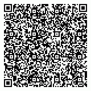 vCard 79526700351