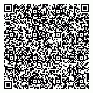vCard 79526700388