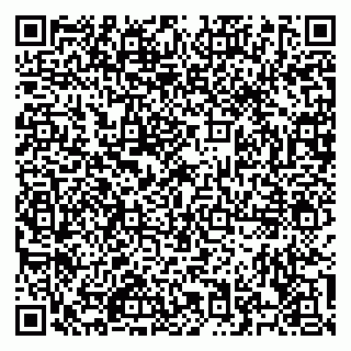 vCard 79526700391