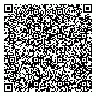 vCard 79526735370