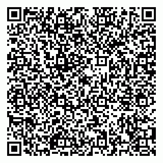vCard 79526840381