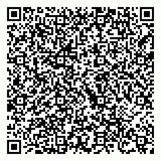 vCard 79526884037