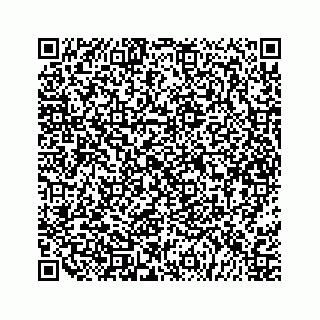 vCard 79527060004