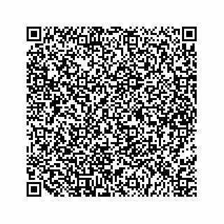 vCard 79527060035