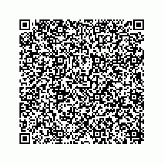 vCard 79527060037