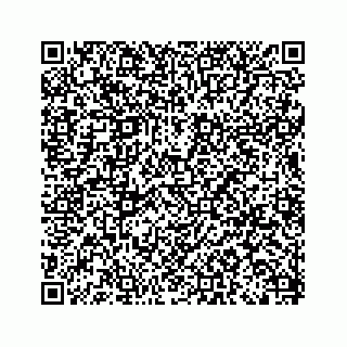 vCard 79527060093