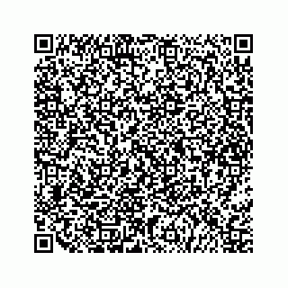 vCard 79527060133
