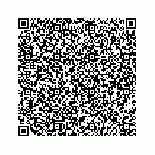 vCard 79527060331