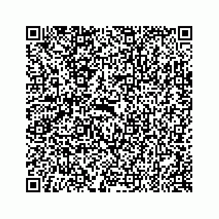 vCard 79527196231