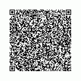 vCard 79527196295