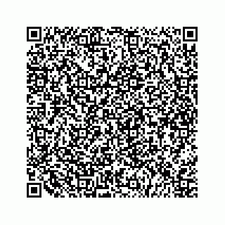 vCard 79527200401