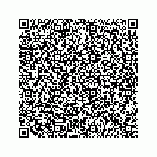 vCard 79527200403