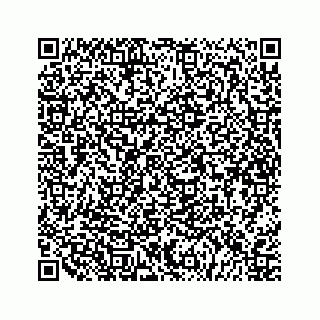 vCard 79527200411